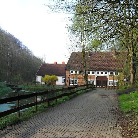 Hoellenmuehle Bed & Breakfast At The Mill Pond Hessisch Oldendorf Екстериор снимка