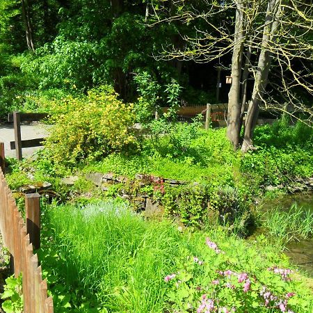 Hoellenmuehle Bed & Breakfast At The Mill Pond Hessisch Oldendorf Екстериор снимка