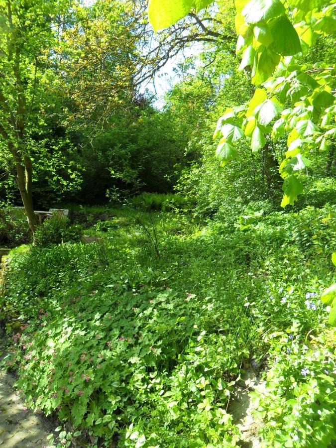 Hoellenmuehle Bed & Breakfast At The Mill Pond Hessisch Oldendorf Екстериор снимка