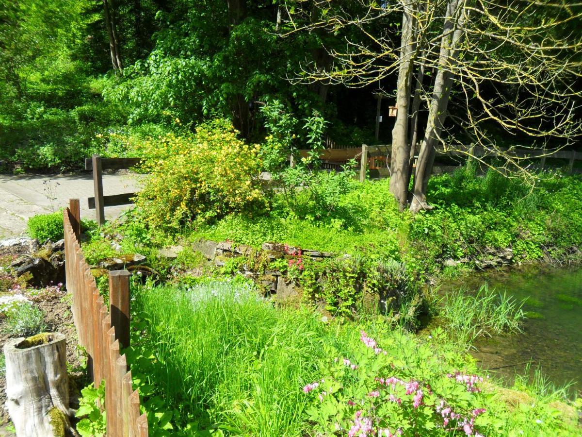 Hoellenmuehle Bed & Breakfast At The Mill Pond Hessisch Oldendorf Екстериор снимка